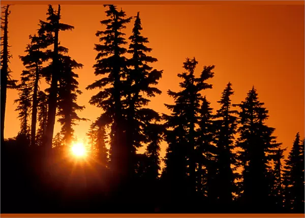 A brilliant orange sunset in the wilderness around Mt Jefferson in Oregon Cascades