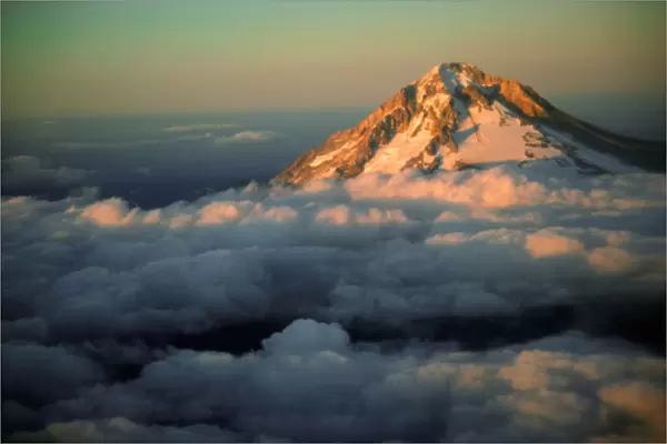 An aerial of Mt Hood, Oregon, peaking above the cloud cover
