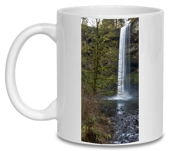 USA, Oregon, Silver Falls State Park, South Falls, Digital Composite, HDR