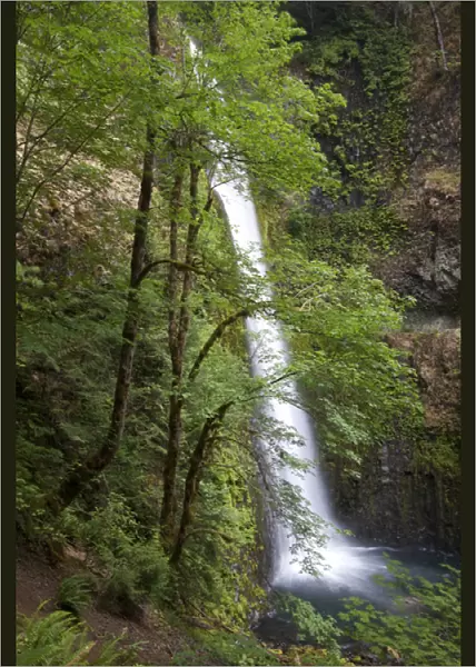 Eagle Creek waterfalls