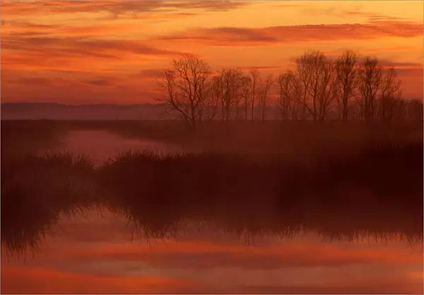 North America; USA; South Carolina; Foggy sunrise at Savannah National Wildlife Refuge