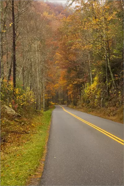 USA, North America, North Carolina, Great Smoky Mountain NP. Road through the Smokies
