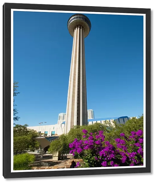 USA, Texas, San Antonio, HemisFair Park, Tower of the Americas, framed with flowers