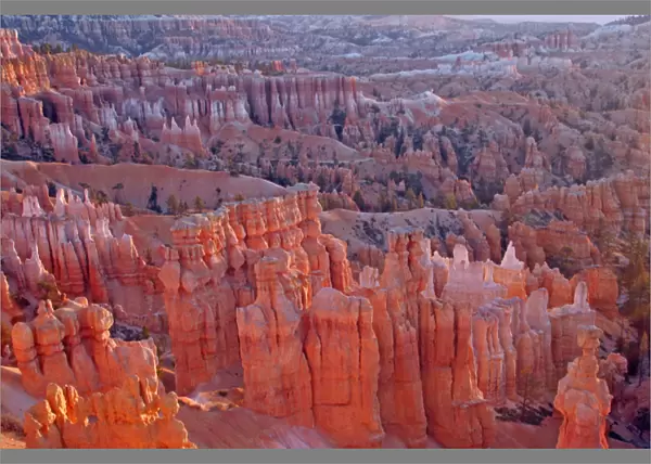 USA, Utah, Bryce Canyon National Park. Sunrise at Sunset Point. Credit as: Cathy