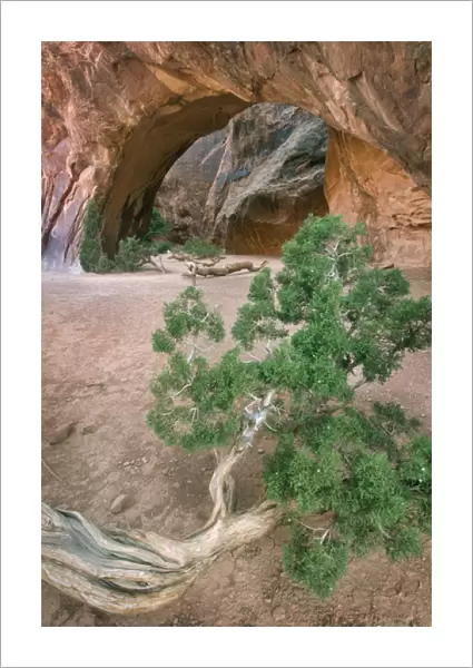 Navajo Arch, Arches National Park, Utah, USA
