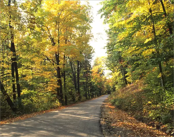 Tranquil Road with Fall Colors in Vermont