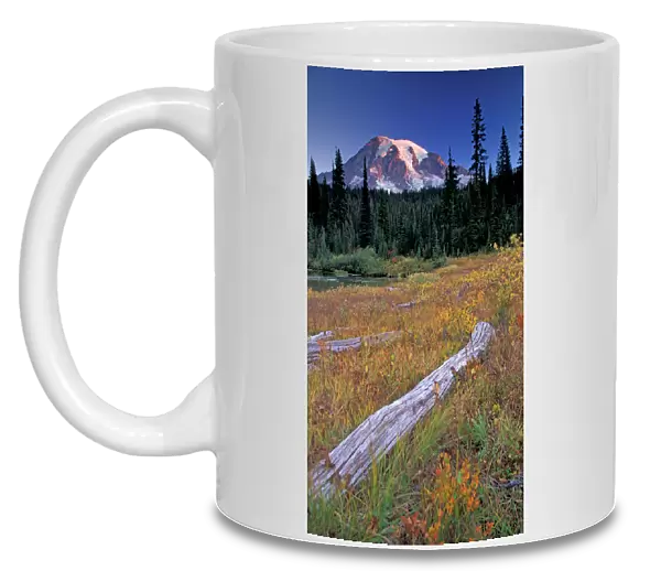 NA, USA, Washington, Mount Rainier NP, Refleced Lakes Area, meadow with logs
