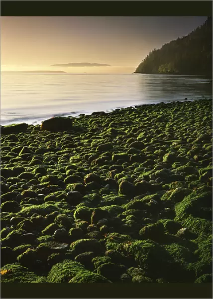 USA, Washington, Orcas Island, Stone beach at low tide