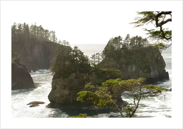 Cape Flattery - northwesternmost point of lower 48 USA. Sea Stacks. UNESCO World Heritage Site