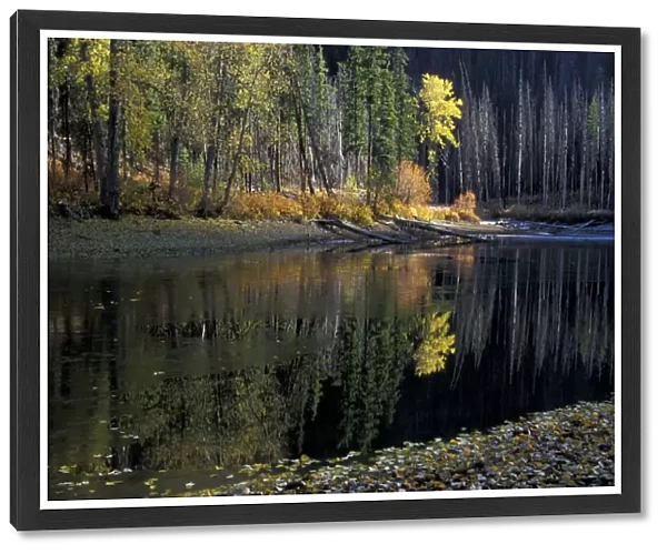 NA, USA, Washington, North Cascade Mountains Fall color at Little Eight-Mile Lake