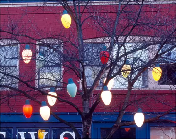 Christmas tree lights; holiday; season; glow; colors; festive; decor; Fremont neighborhood