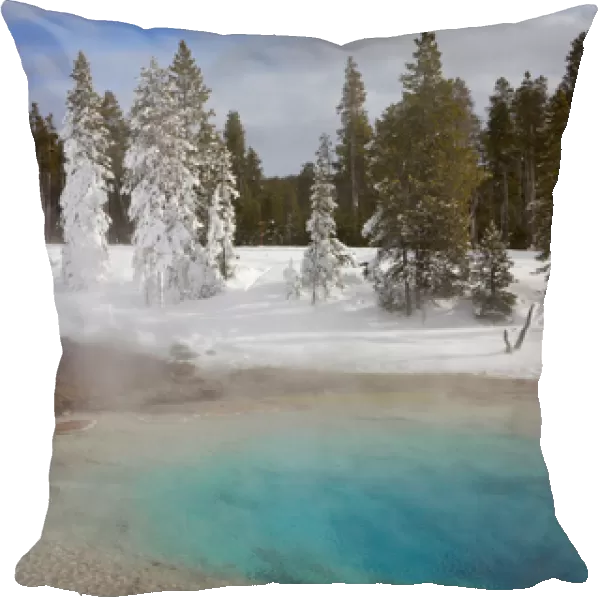Silex Spring in the Lower Geyser Basin in Yellowstone National Park, Wyoming, USA