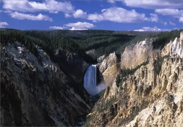N. A. USA, Wyoming, Yellowstone Nat l Park Lower falls of the Yellowstone River