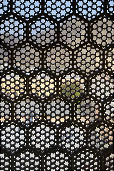 Asia, India, Amer. Lattice window screen at Amber Palace