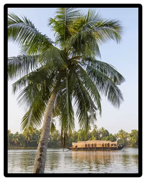 Traditional house boat, Kerala backwaters, nr Alleppey, (or Alappuzha), Kerala, India
