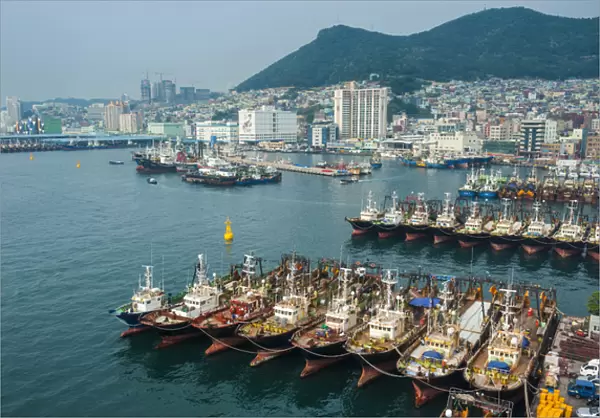 Overlook over the harbour and fishing fleet of Busan, South Korea