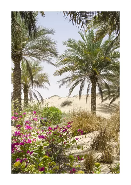 Bab Al Shams Desert Resort & Spa. Dubai, United Arab Emirates (UAE)