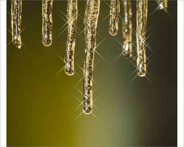 Golden icicles with stars