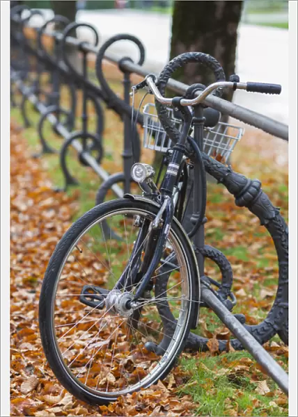 Germany, Bavaria, Munich, Hofgarten park, fall, bicycle