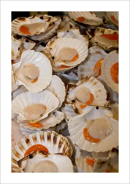 Fish Market scallops on display for sale, Venice Italy