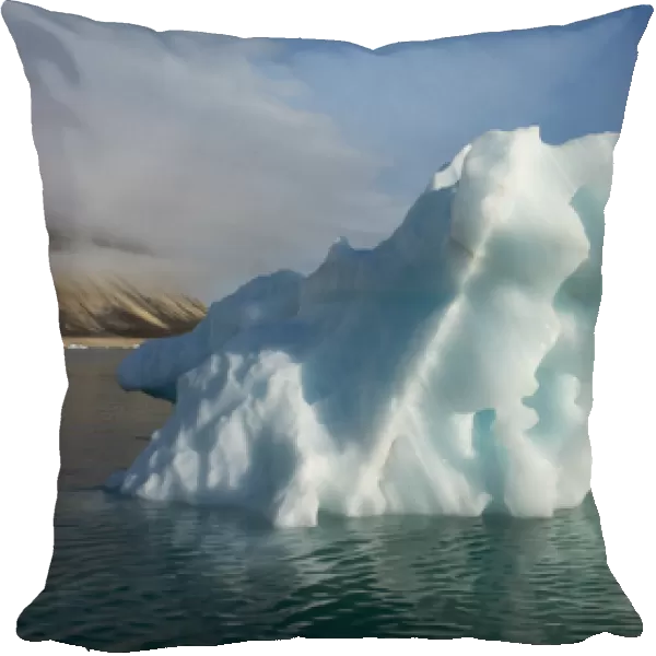 Norway, Barents Sea, Svalbard, Nordaustlandet, Palanderbukta (Palander Bay), Zeipelodden