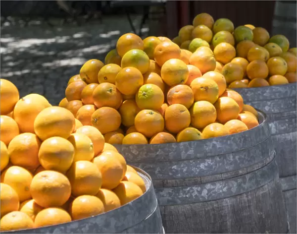 Europe, Portugal, Obidos. Barrels of Navel oranges for sale