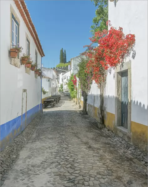 Portugal, Obidos, Cobblestone Street in the Historic Cente