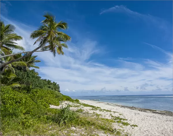 Palm fringed Kolovai beach, Tongatapu, Tonga, South Pacific