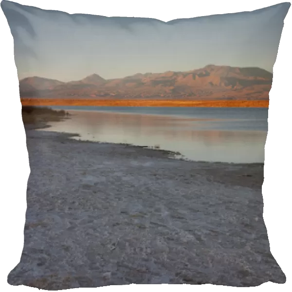 A short drive from San Pedro de Atacama is the Cejar Salt Lake with the Cordillerta