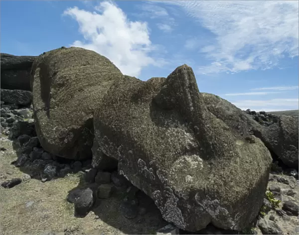Chile, Easter Island aka Rapa Nui. Historic unrestored moai site of Ahu One Makihi