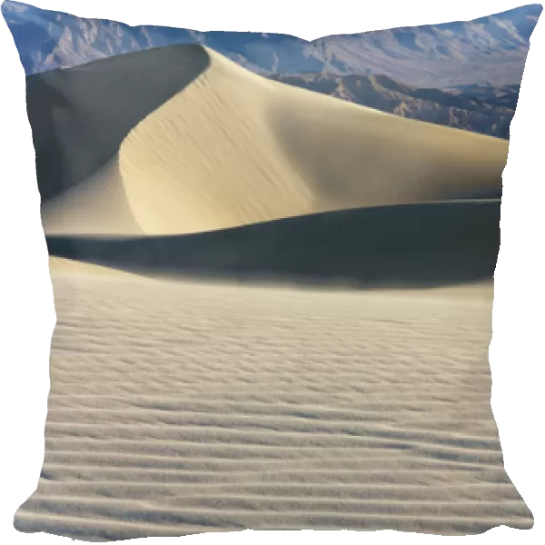 USA California Valley Dunes 18
