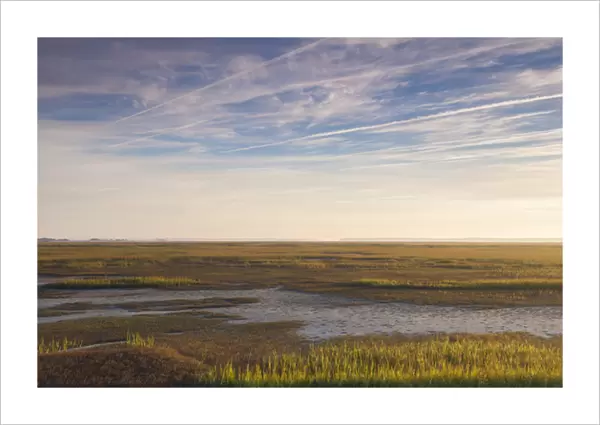 USA, Georgia, Brunswick, dawn view along the Bruswick River marshes