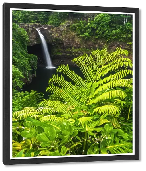 Rainbow Falls, Wailuku River State Park, Hilo, The Big Island, Hawaii