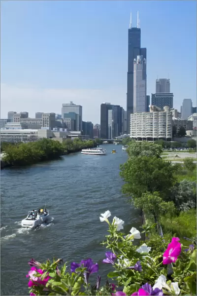 Chicago Illinois skyline from the South Chicago River branch with Sears Tower or
