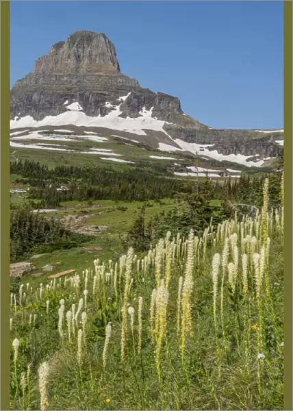 Clements Mountain with Beargrass, Glacier National Park