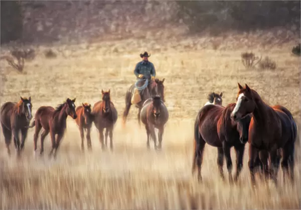 wrangler and horses on ranch in new mexico