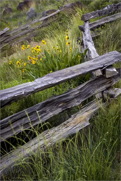 USA, Oregon, Smith Rock State Park. Split rail fence scenic