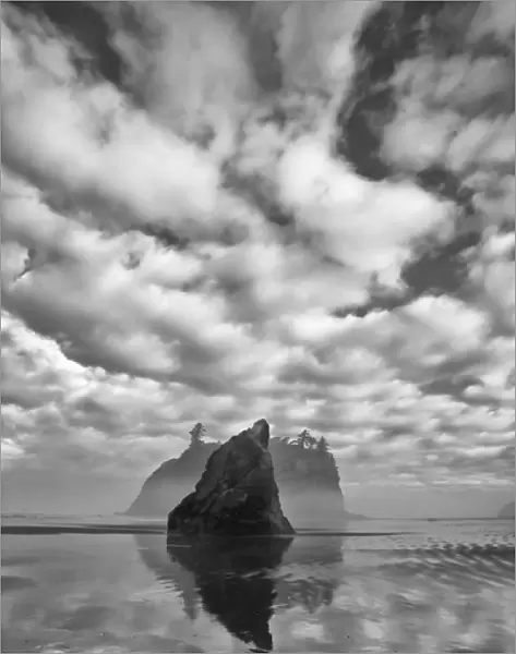 North America, USA, Washington, Olympic National Park. Black and white image of sea stack