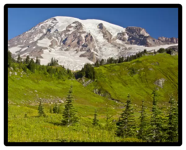 Mount Rainier from Paradise; Mount Rainier National Park; Washington; USA