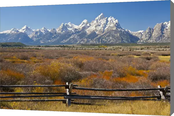 autumn color; Grand Tetons; Buck-and_rail Fence; from Cunningham Cabin; Grand Teton