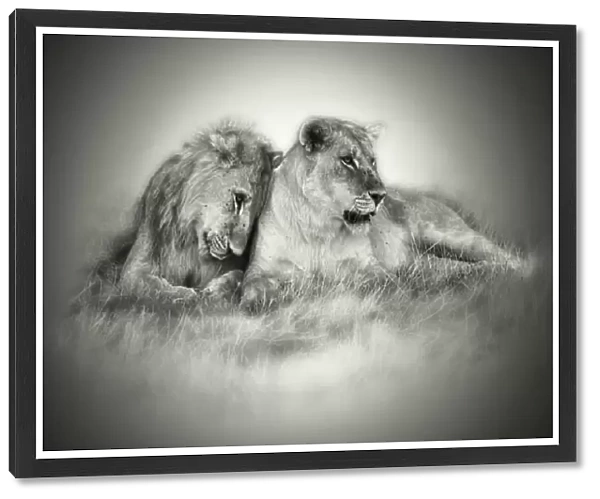 Lioness and son nuzzling in monochrome sepia
