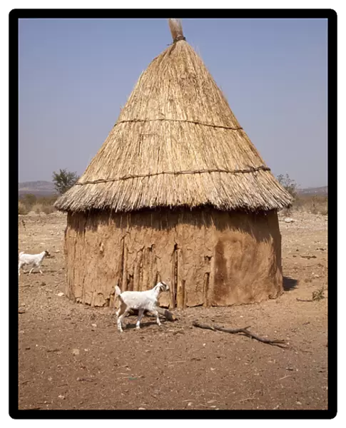 Africa, Namibia, Opuwo. Goats and hut in a Himba village