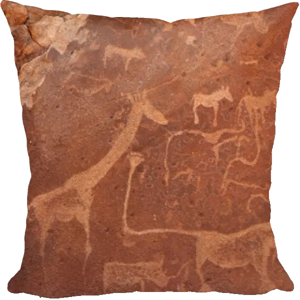 Africa, Namibia, Damaraland, Twyfelfontein. Close-up of rock engravings or petroglyphs