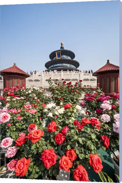 Hall of Prayer for Good Harvests in the Temple of Heaven (Altar of Heaven) Beijing