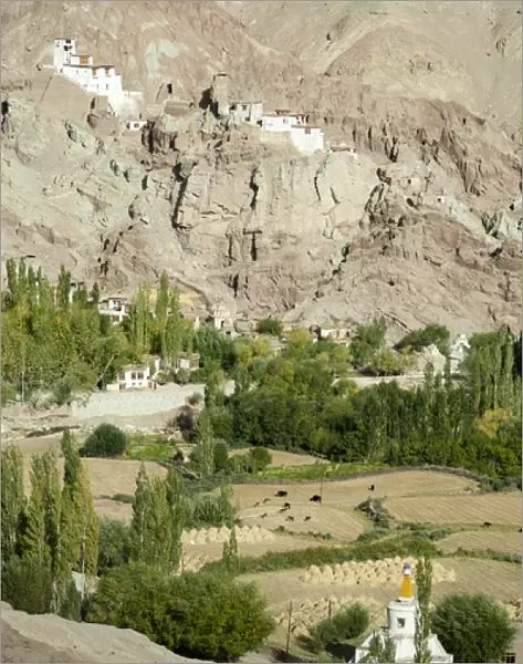 India, Ladakh, Basgo, Basgo Gompa (Monastery)