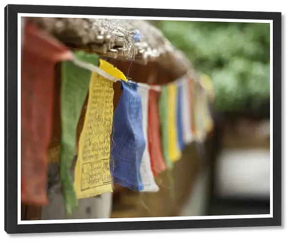 India, Ladakh, Alchi, colorful buddhist prayer flags