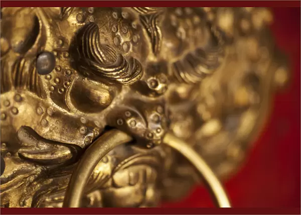India, Ladakh, Likir, close-up of dragon head door grip