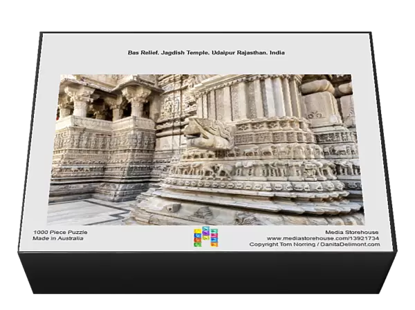 Bas Relief. Jagdish Temple. Udaipur Rajasthan. India