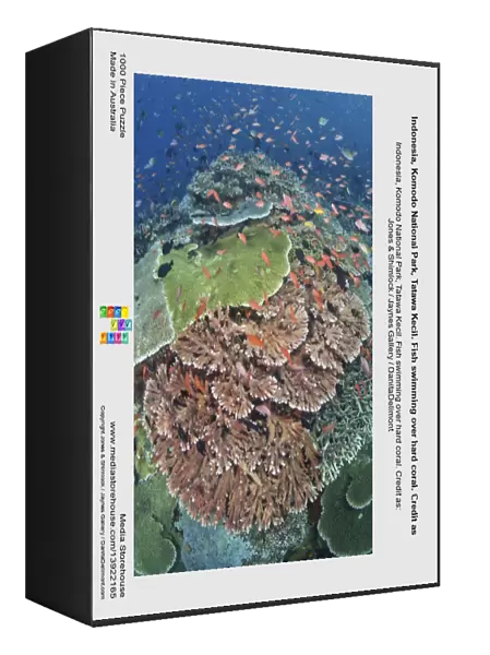 Indonesia, Komodo National Park, Tatawa Kecil. Fish swimming over hard coral. Credit as