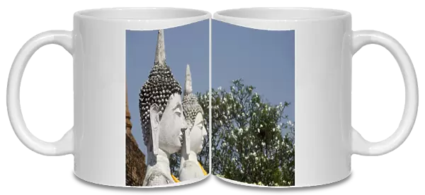 Thailand, Ayutthaya. Wat Phra Chao Phya-thai (aka Wat Yai Chai-mongkol)